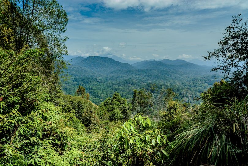 Taman Negara