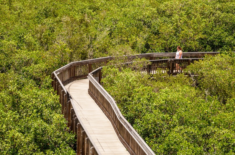 Weedon Island Preserve