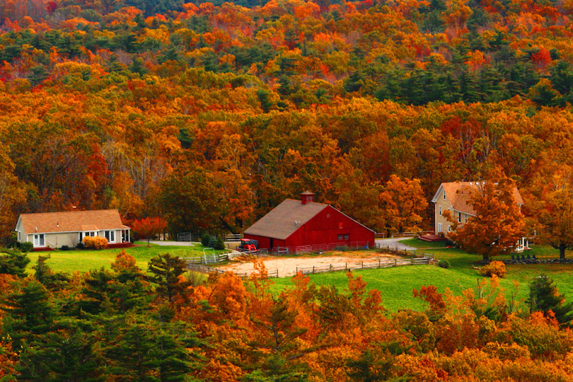 New England