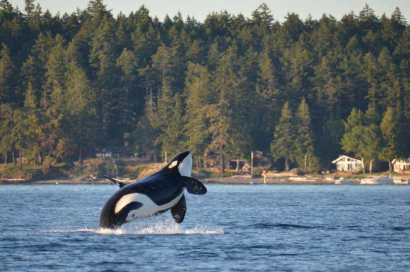 San Juan Islands National Monument