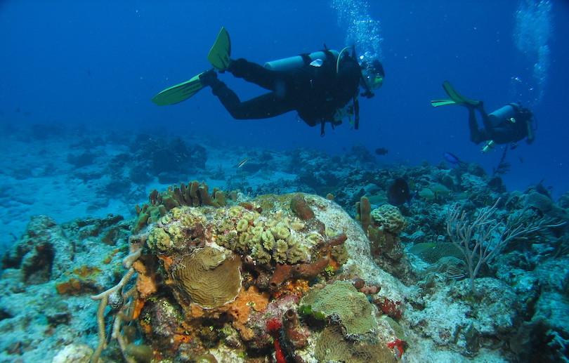 Chankanaab Reef