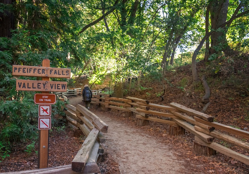 Pfeiffer Big Sur State Park