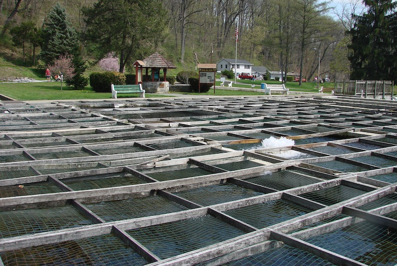 Allentown Fish Hatchery