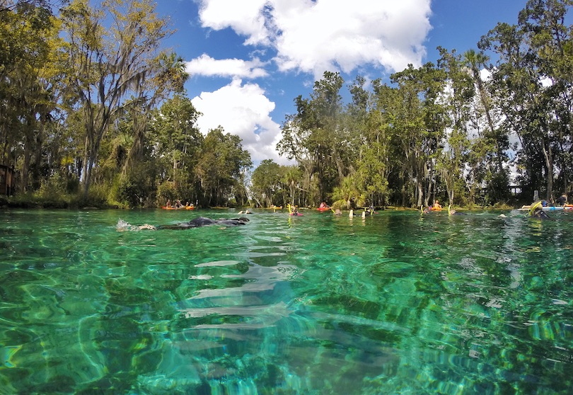 Three Sisters Springs