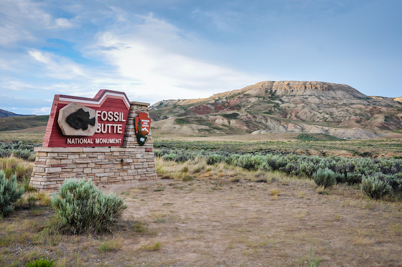 Fossil Butte National Monument